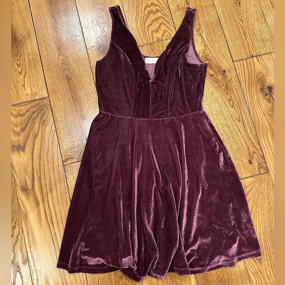 Altar'd State Velvet Mini Dress in Burgundy